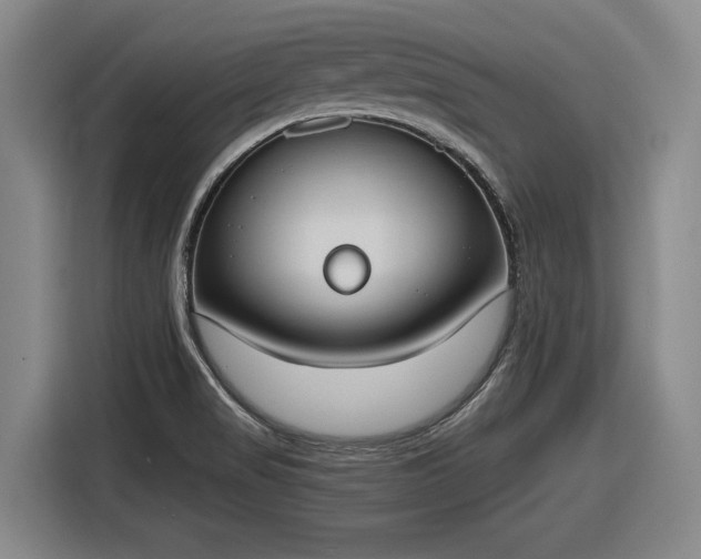 X0000116511517200912161328