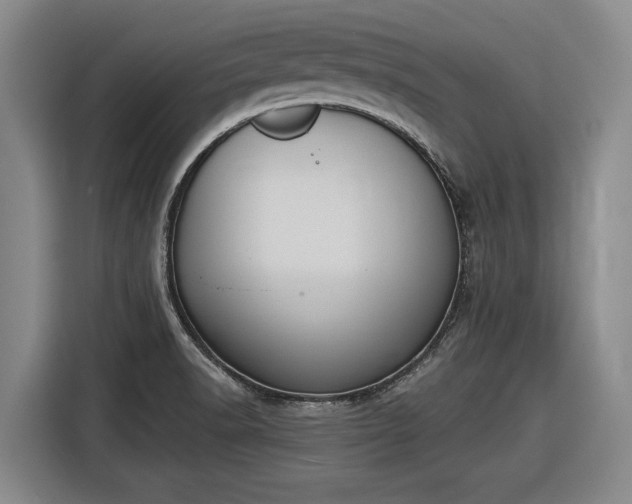 X0000116511518200912161328