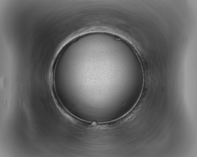 X0000116511519200912161328