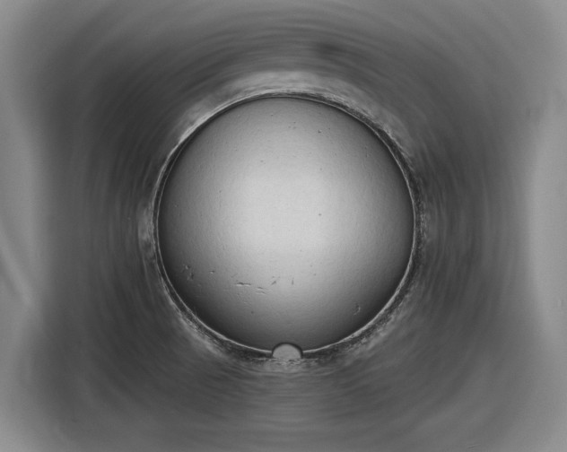 X0000116511521200912161328