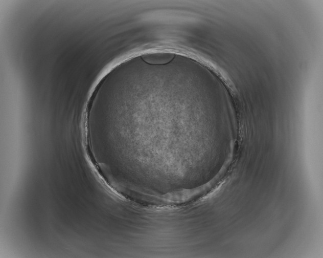 X0000116511522200912161328