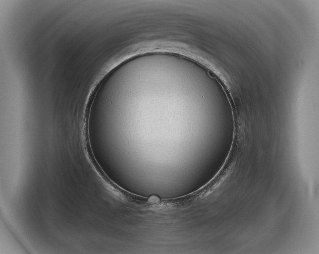 X0000116511525200912161328