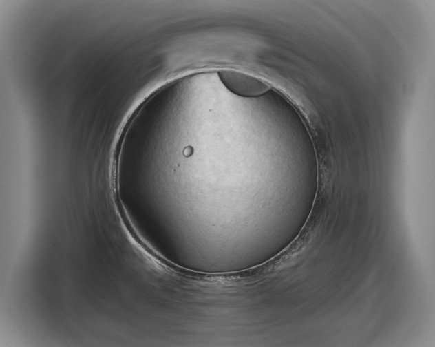 X0000116511527200912161328