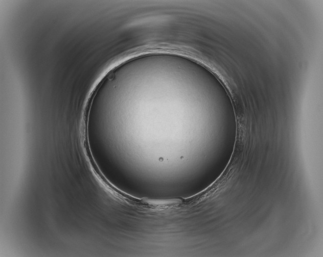 X0000116511531200912161328