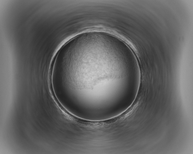 X0000116511533200912161328