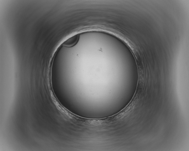 X0000116511534200912161328