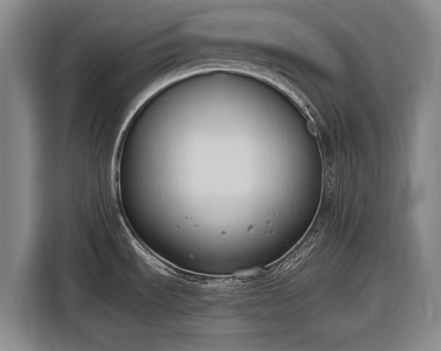 X0000116511535200912161328