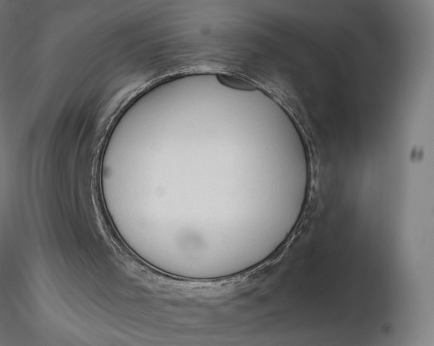 X0000116510001200912231243