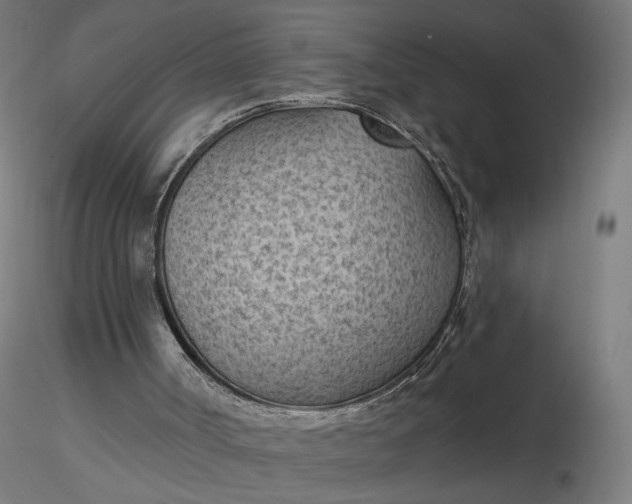 X0000116510002200912231243