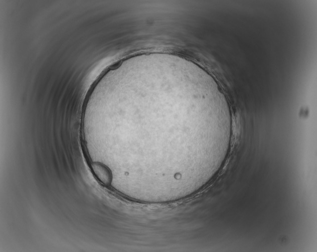 X0000116510003200912231243