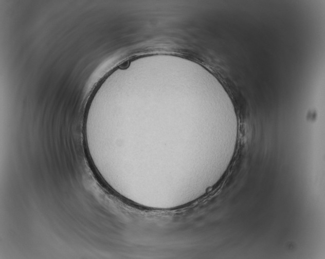 X0000116510004200912231243