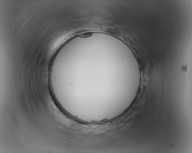 X0000116510005200912231243