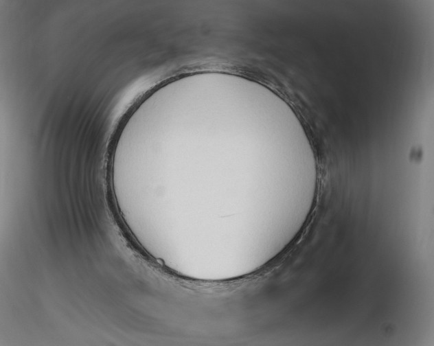 X0000116510006200912231243