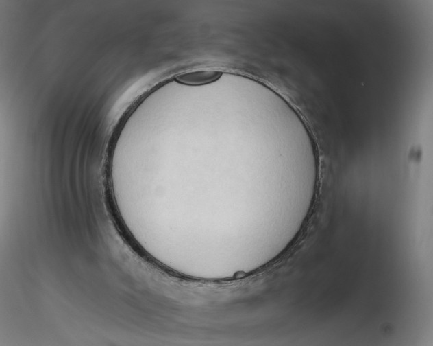 X0000116510007200912231243