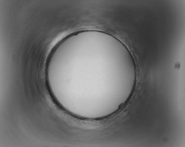 X0000116510008200912231243