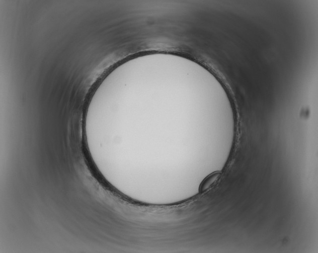 X0000116510011200912231243