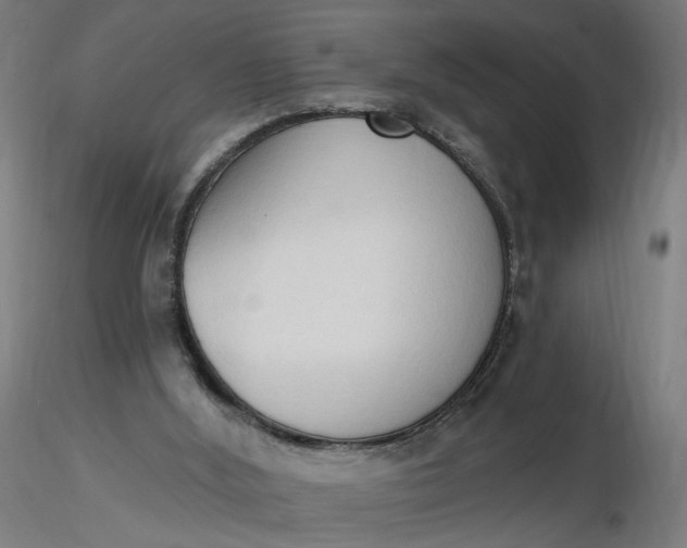 X0000116510012200912231243