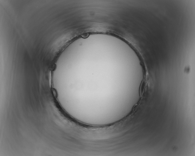 X0000116510013200912231243