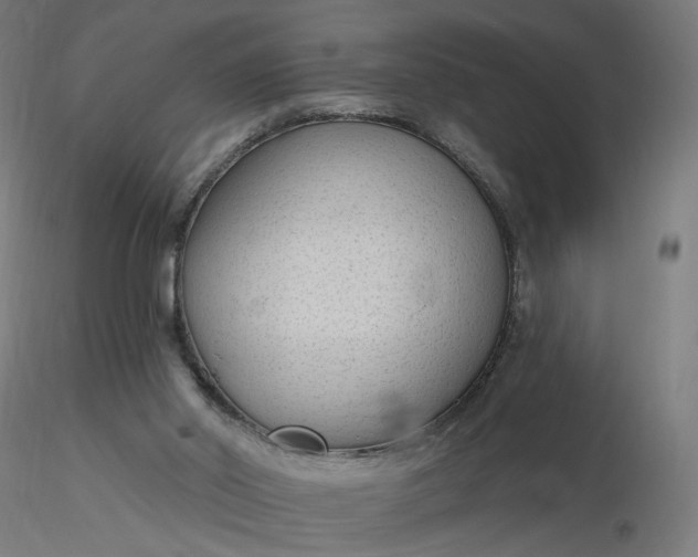 X0000116510014200912231243