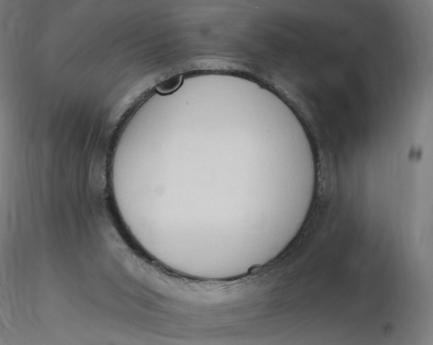 X0000116510015200912231243