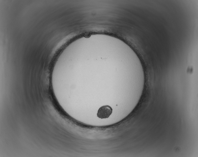 X0000116510016200912231243