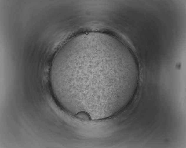 X0000116510018200912231243