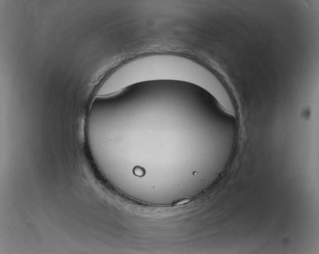 X0000116510019200912231243