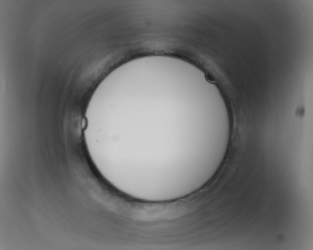 X0000116510021200912231243