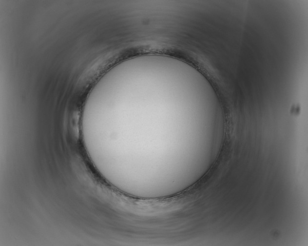 X0000116510022200912231243