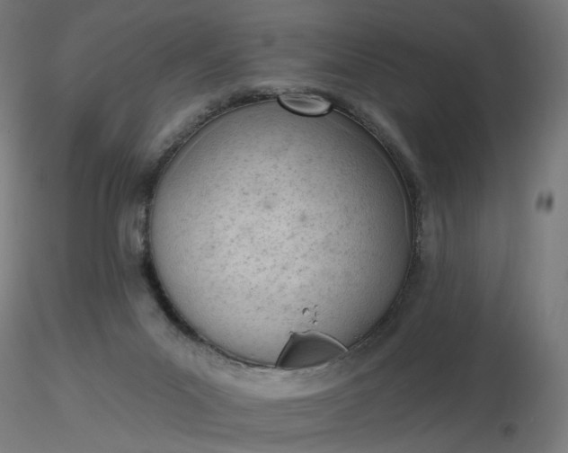 X0000116510023200912231243