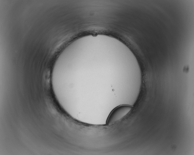 X0000116510024200912231243