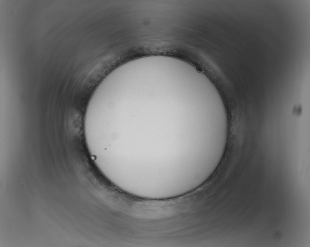 X0000116510025200912231243