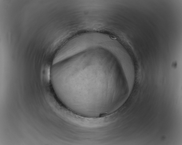 X0000116510027200912231243