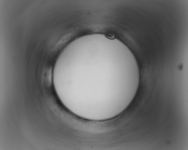 X0000116510028200912231243