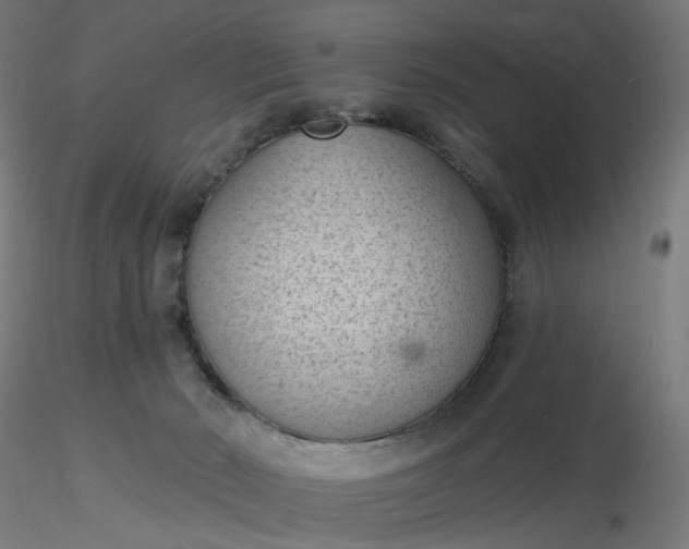 X0000116510030200912231243