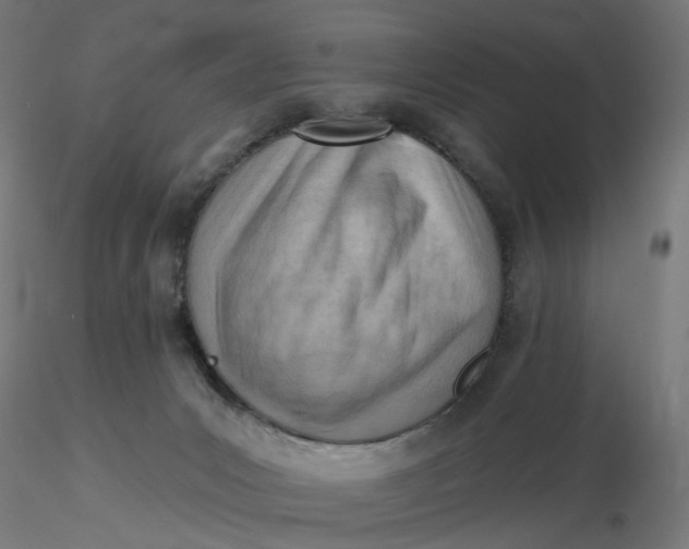 X0000116510031200912231243