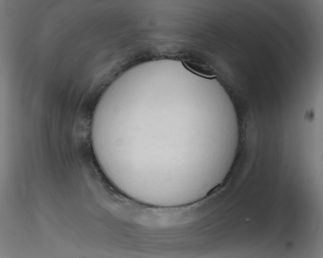 X0000116510033200912231243