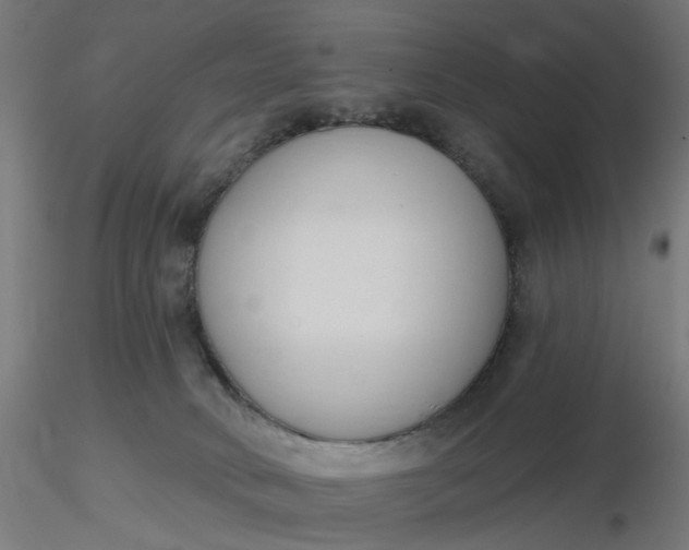 X0000116510034200912231243