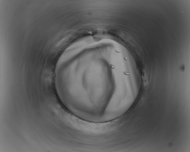 X0000116510035200912231243