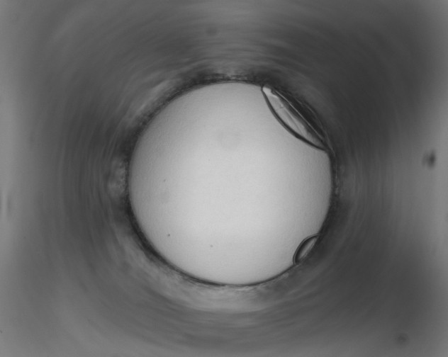 X0000116510036200912231242