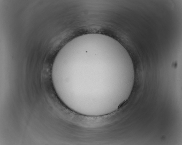 X0000116510037200912231242