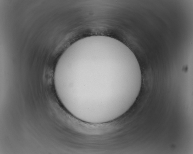 X0000116510038200912231242