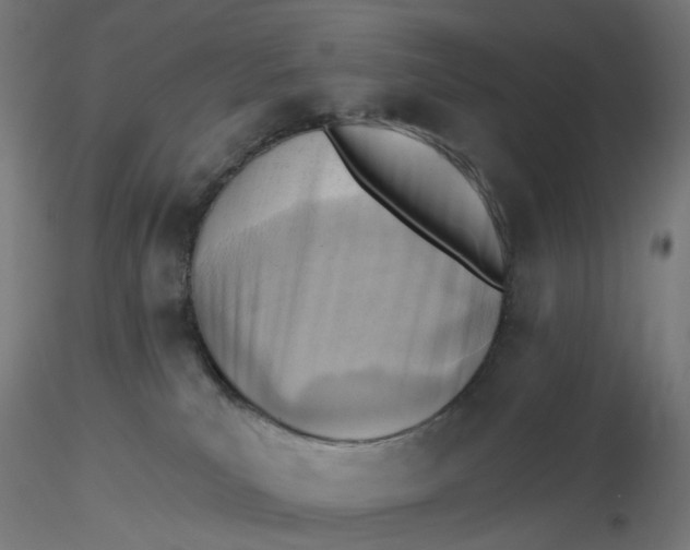 X0000116510039200912231242