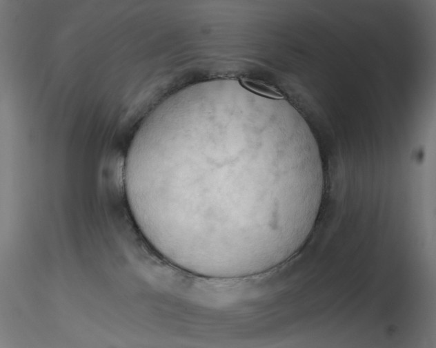 X0000116510041200912231242