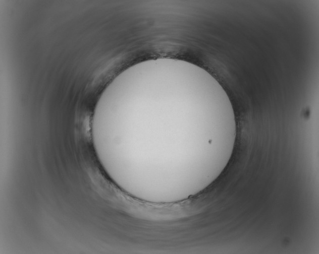 X0000116510042200912231242