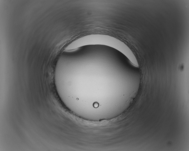 X0000116510043200912231242