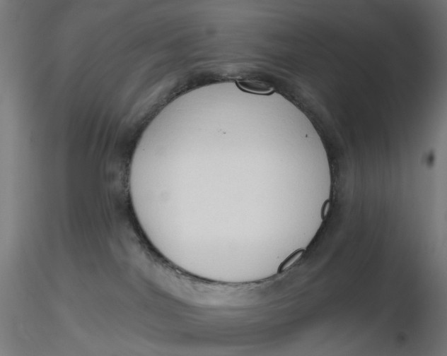 X0000116510044200912231242