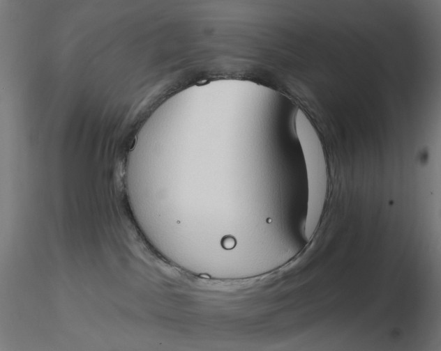 X0000116510045200912231242