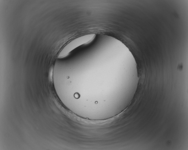 X0000116510047200912231242