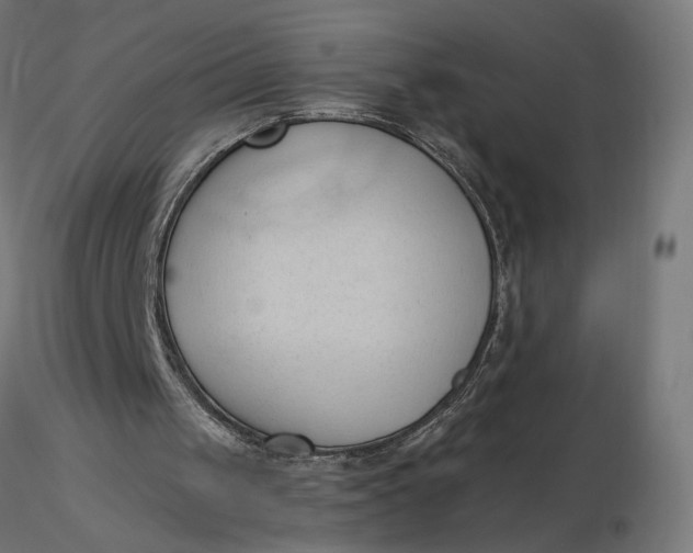 X0000116510049200912231242